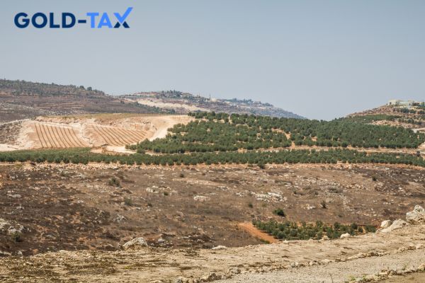 החזר מס ישובי ספר