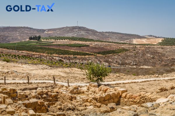 החזר מס ישובי ספר